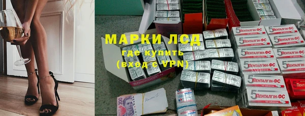 стафф Гусев