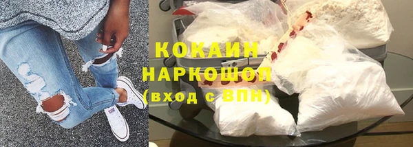 стафф Гусев