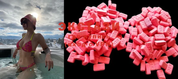 стафф Гусев