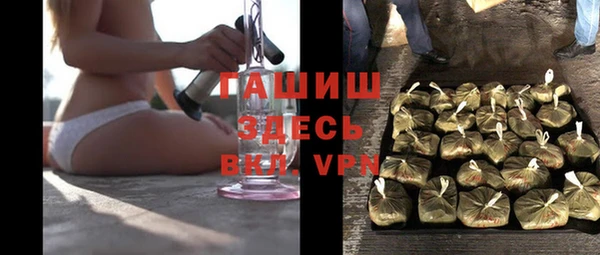 стафф Гусев